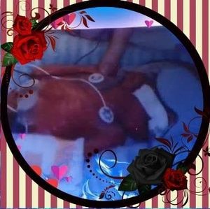 Meet your Posher, Thomas